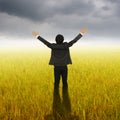 Happy Business Man standing in Yellow rice field and Rainclouds