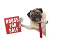 Happy business pug dog witg glasses and tie, holding up red house for sale sign and key