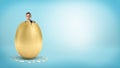 A happy businessman looks from inside a giant golden egg with a broken top. Royalty Free Stock Photo