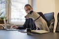 happy businessman working on laptop in office sitting next to dog with a tie Royalty Free Stock Photo