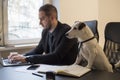 happy businessman working on laptop in office sitting next to dog with a tie Royalty Free Stock Photo