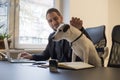 happy businessman working on laptop in office sitting next to dog with a tie Royalty Free Stock Photo
