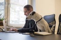 happy businessman working on laptop in office sitting next to dog with a tie Royalty Free Stock Photo