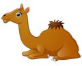 Happy camel cartoon lying down Royalty Free Stock Photo