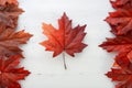 Happy Canada Day red silk leaves in shape of Canadian Flag. Royalty Free Stock Photo