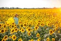 Happy carefree summer girl in a summer sunflower field Royalty Free Stock Photo