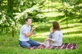 A young cheerful family with a baby is having a picnic in the park,blowing soap bubbles. Summer time concept.Family day Royalty Free Stock Photo