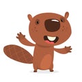 Happy cartoon beaver laughing. Brown beaver character. Vector illustration clipart. Big set of forest animals. Royalty Free Stock Photo