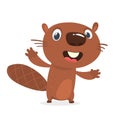 Happy cartoon beaver laughing. Brown beaver character. Vector illustration clipart. Big set of forest animals.