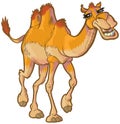 Happy Cartoon Camel Vector Clip Art Illustration Royalty Free Stock Photo