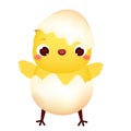 Happy Cartoon chicken in egg. Cute Easter chick character. isolated vector clip art Royalty Free Stock Photo