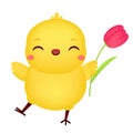 Happy Cartoon chicken with tulip. Cute Easter chick character. isolated vector clip art Royalty Free Stock Photo