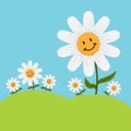 Happy Cartoon Daisy Flowers