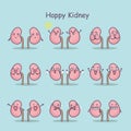 Happy cartoon kidney