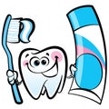 Happy cartoon molar tooth character holding dental toothbrush Royalty Free Stock Photo