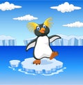 Happy cartoon penguin rockhopper standing on