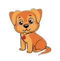 Happy cartoon puppy sitting, Portrait of cute little dog wearing collar. Dog friend. Royalty Free Stock Photo