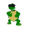 Happy cartoon turtle 1 Royalty Free Stock Photo