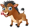 Happy cartoon warthog