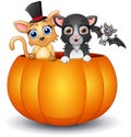Happy cat and bat cartoon inside pumpkin