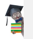 Happy Cat with black graduation cap holding books and peeking from behind empty board. isolated on white background Royalty Free Stock Photo