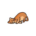 Happy cat caresses color line icon. Pictogram for web page