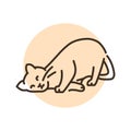 Happy cat caresses color line icon. Pictogram for web page