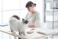 Happy cat on a desktop Royalty Free Stock Photo