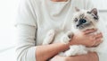 Happy cat in her owner's arms Royalty Free Stock Photo