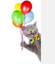 Happy Cat holding balloons and peeking from behind empty board. isolated on white background Royalty Free Stock Photo