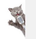 Happy cat holds retro microphone. Isolated on white background Royalty Free Stock Photo