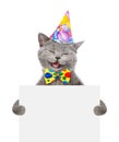 Happy cat in party hat holding a white banner. isolated on white background Royalty Free Stock Photo