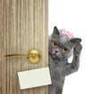 Happy cat peeks out from behind the door. Isolated on white Royalty Free Stock Photo