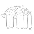 Happy cat is sleeping on battery isolated on white background. Relaxation. Day dream. Vector illustration