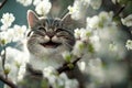 A happy cat in spring surrounded by flowers. Concept illustration Royalty Free Stock Photo