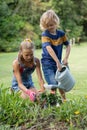 Happy caucasian brother and sister in garden watering plants and gardening together