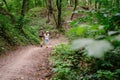 Happy caucasian couple are walking in a dense forest along the path holding hands, rear view. Hikers with backpack looking for Royalty Free Stock Photo