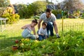 Happy caucasian father, daughter and son gardening and watering plants together Royalty Free Stock Photo