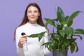 Happy Caucasian woman or housewife spraying houseplant with water sprayer at home, lady with pleasant appearance posing against