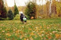 happy cavalier king charles spaniel dog playing with toy ball