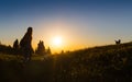 Happy celebrating winning success woman at sunset or sunrise standing elated with arms raised up above her head in Royalty Free Stock Photo