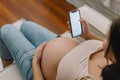 Happy charming pregnant woman using mobile phone. Pregnant Woman