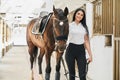 Happy charming woman standing near strong purebred horse Royalty Free Stock Photo