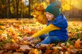 Happy cheerful child, beautiful baby girl in bright colorful warm clothes playing among fallen maple leaves and gathering dry Royalty Free Stock Photo