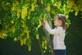 Happy cheerful preschool girl walking in park