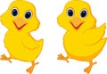 Happy chick cartoon