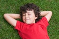 Happy child asleep on the grass