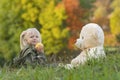 Happy Child on autumn day in nature. Little girl eats apple and plays with large teddy bear sitting on grass Royalty Free Stock Photo