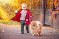 Happy child on autumn walk with dog. Childhood friendship, pet, small dog in the autumn park walk. Little girl and her dog Royalty Free Stock Photo