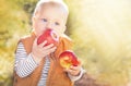 Happy child (baby boy) with two red organic apples in the autumn (fall) day. Kid eating healthy food, snack. Royalty Free Stock Photo